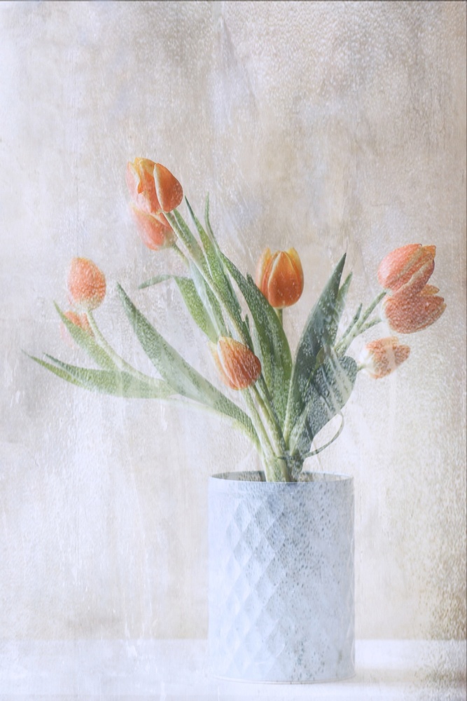 A bunch of tulips von Delphine Devos