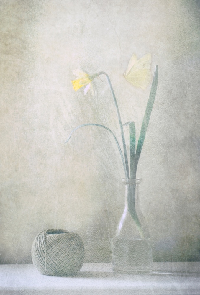 Spring at Home von Delphine Devos