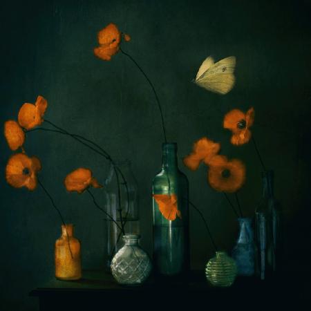 I Dreamt, I Dreamt Of Poppies (Dark mood)