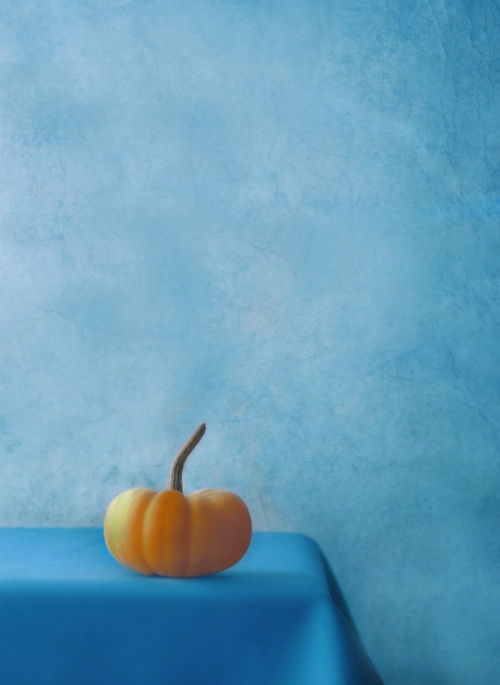 Pumpkin on Blue von Delphine Devos