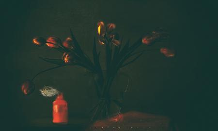 Still Life with Tulips