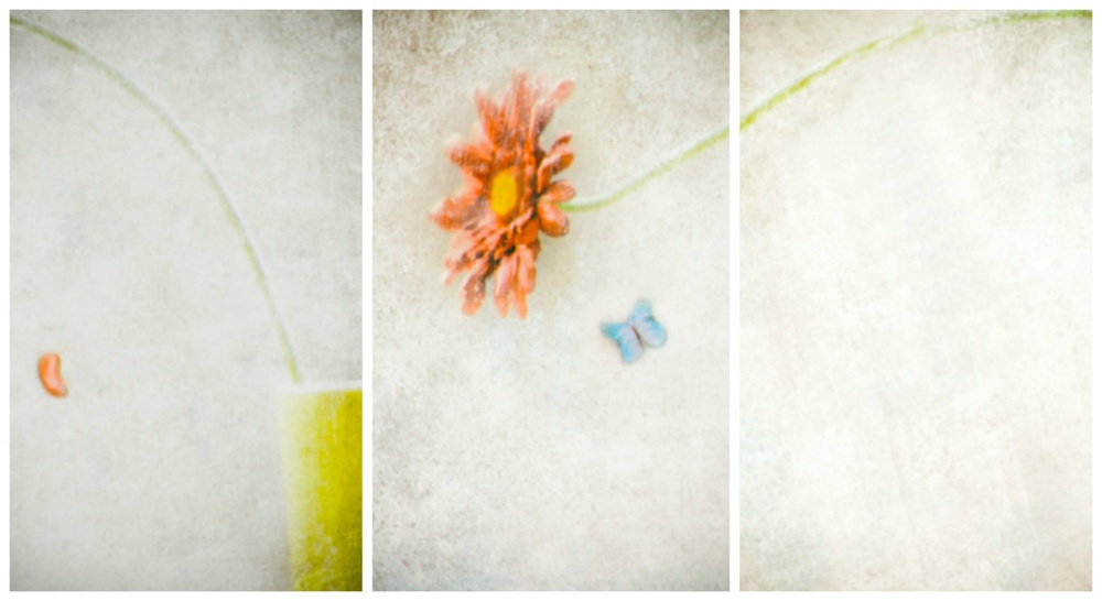 Waiting for Spring (Triptych) von Delphine Devos