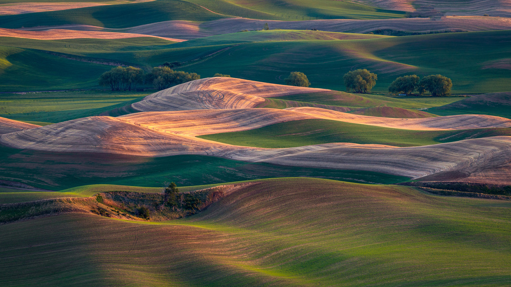 Farmland at sunset von Dennis Zhang