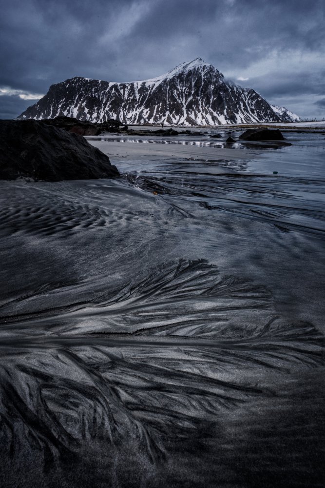 Flowers on beach von Dennis Zhang