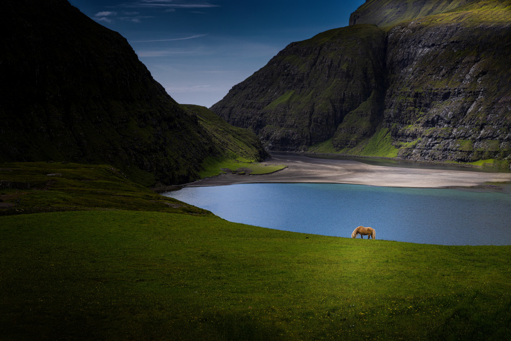 Lonely von Dennis Zhang