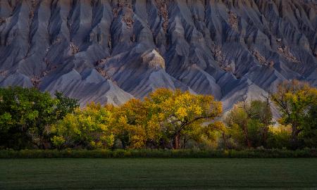 Autumn Gold in Badlands