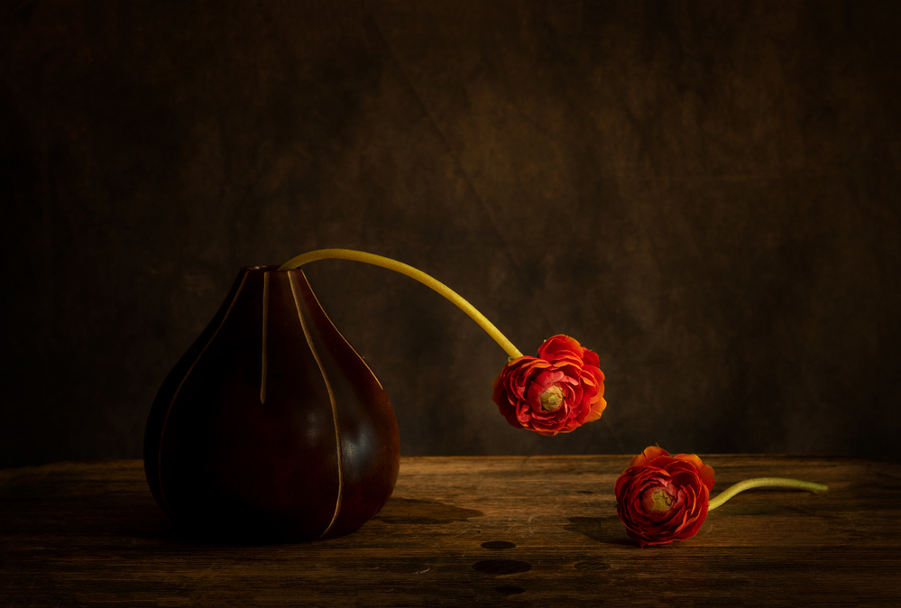 Ranunculus flower von Dennis Zhang