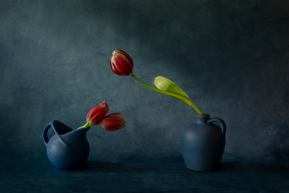 Tulips &amp; vases von Dennis Zhang