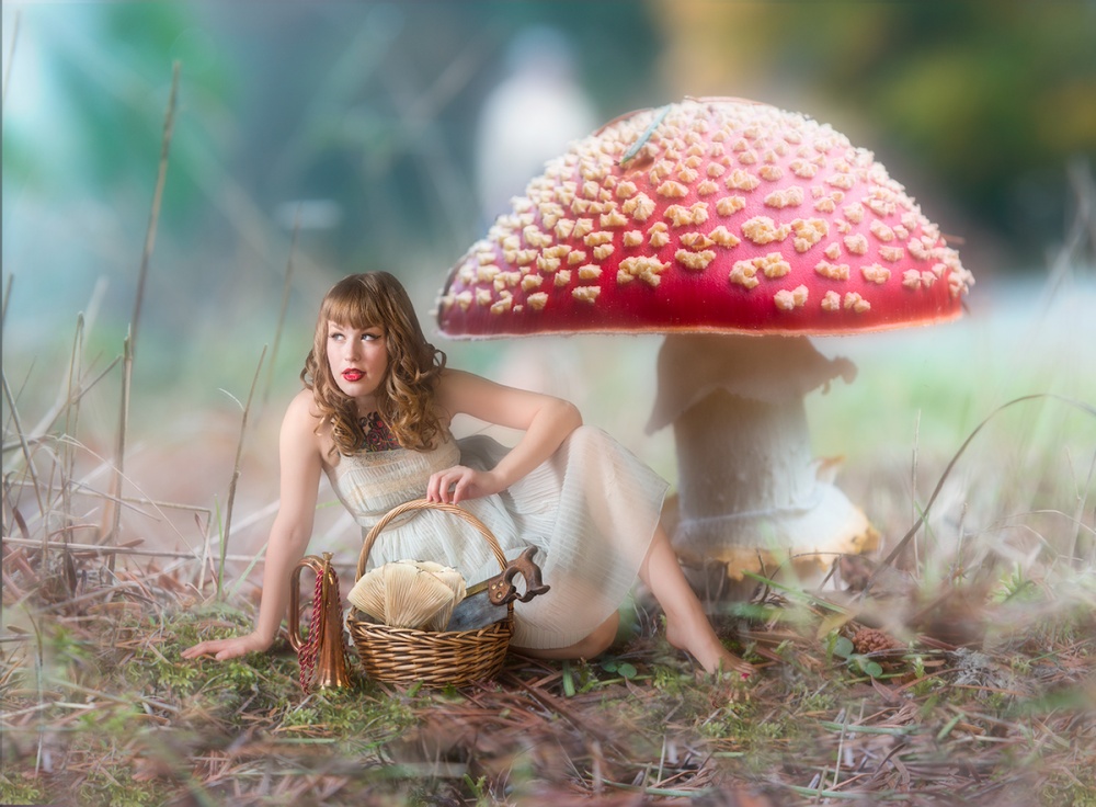 Mushroom Picker von Derek Galon MA FRPS FOPS