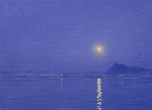 Moonlight over Udaipur von Derek Hare