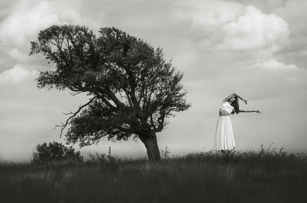 my arms broken branches, my soul a lonely tree von Desislava Ignatova