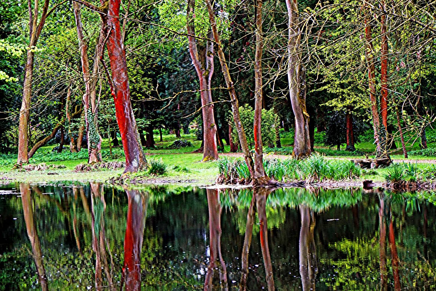 Lake Paff von Joachim W. Dettmer