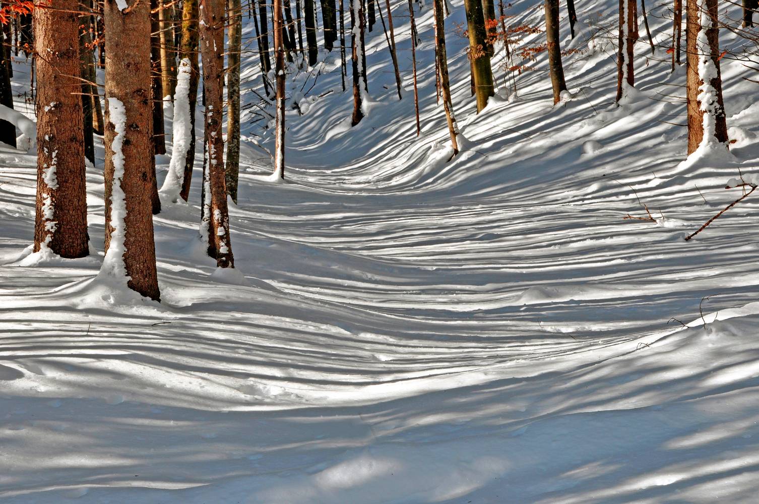 Waves of winter von Joachim W. Dettmer