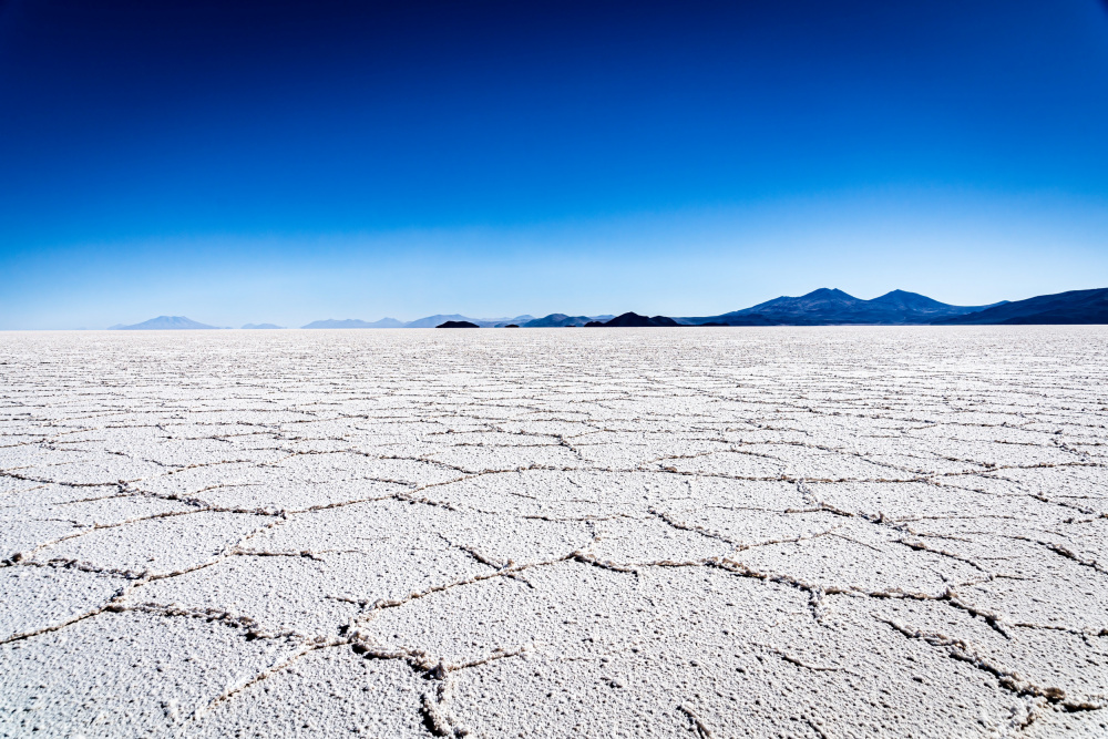 in the salt flat von Dieter Reichelt