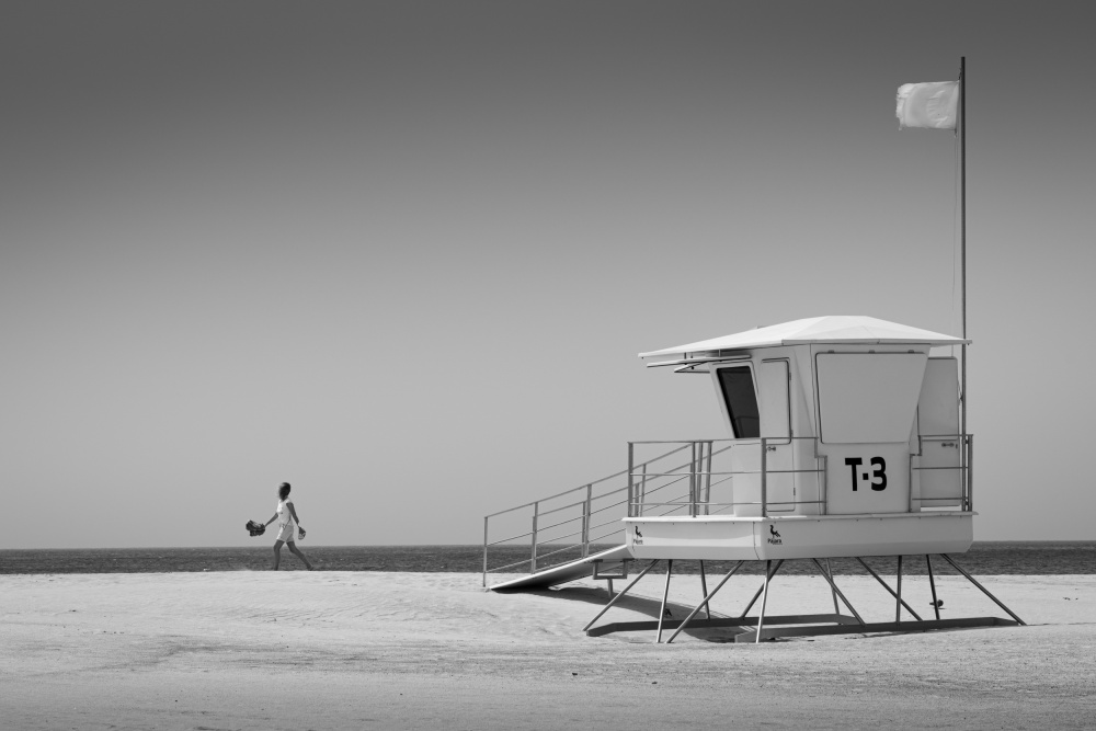 going with the wind von Dieter Reichelt