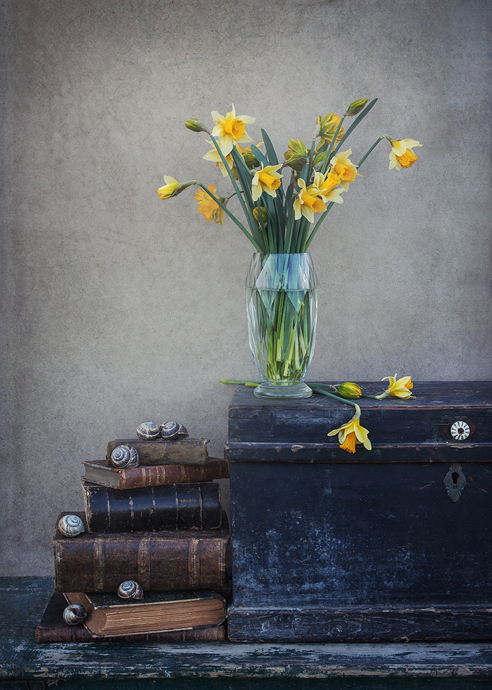 Spring feeling with daffodils... von Dimitar Lazarov - Dim