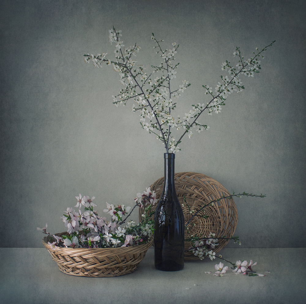 Spring mood von Dimitar Lazarov - Dim