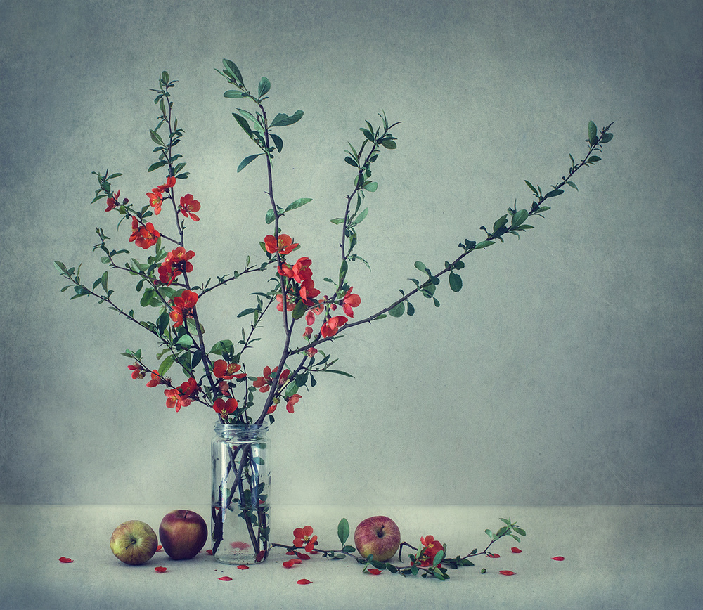 Still life with a Japanese quince von Dimitar Lazarov - Dim