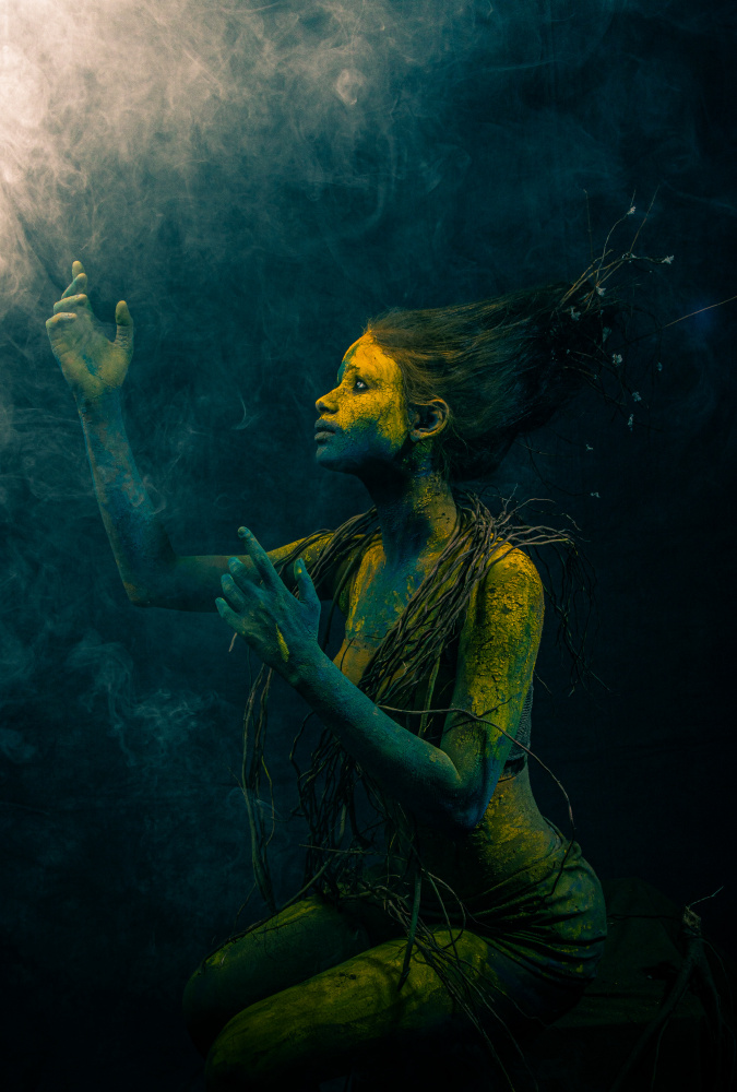 Lost Mermaid von Dipankar Paul