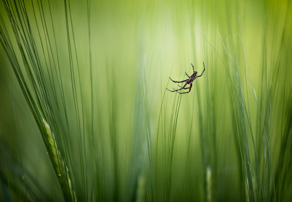 Balance von Dirk Eidner