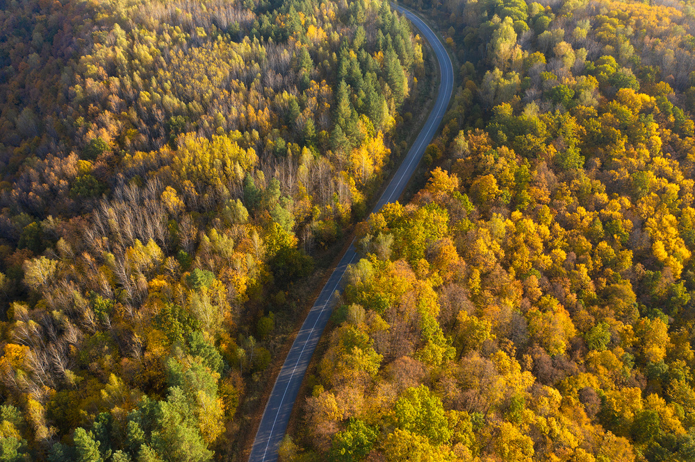 Through autumn von Dmitry Doronin