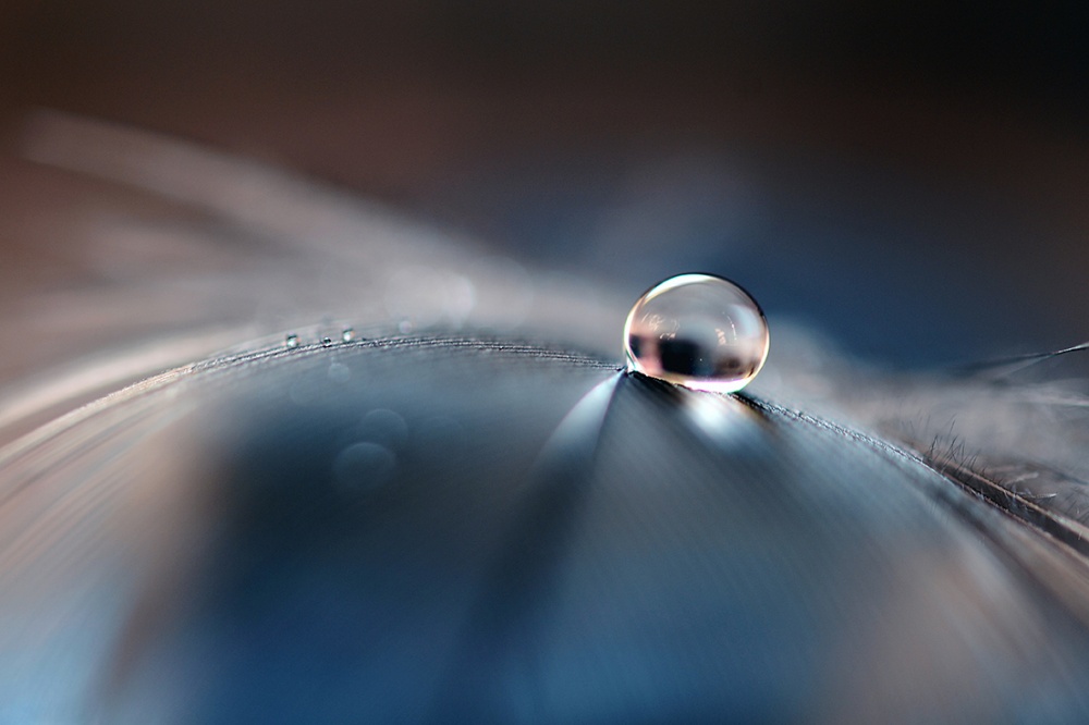 Stories of drops von Dmitry Doronin