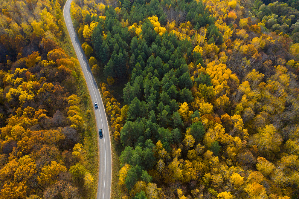 Bright moments of autumn von Dmitry Doronin