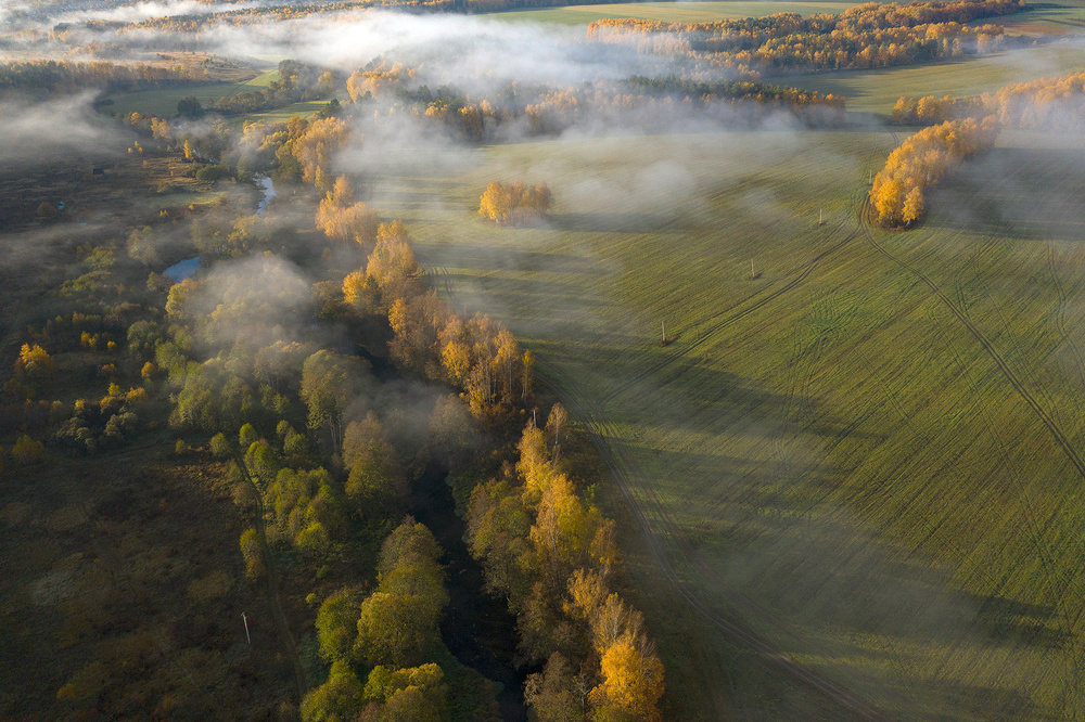 Autumn fogs von Dmitry Doronin