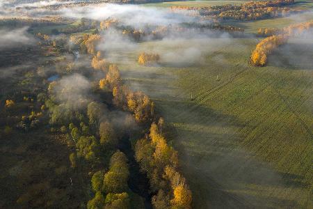 Autumn fogs