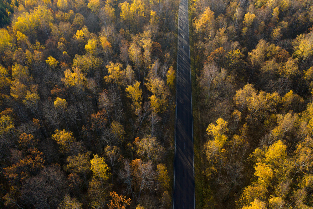 Road von Dmitry Doronin