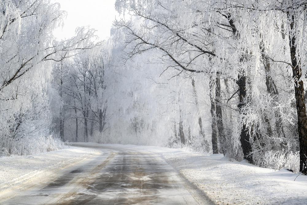 Winter road von Dmitry Doronin