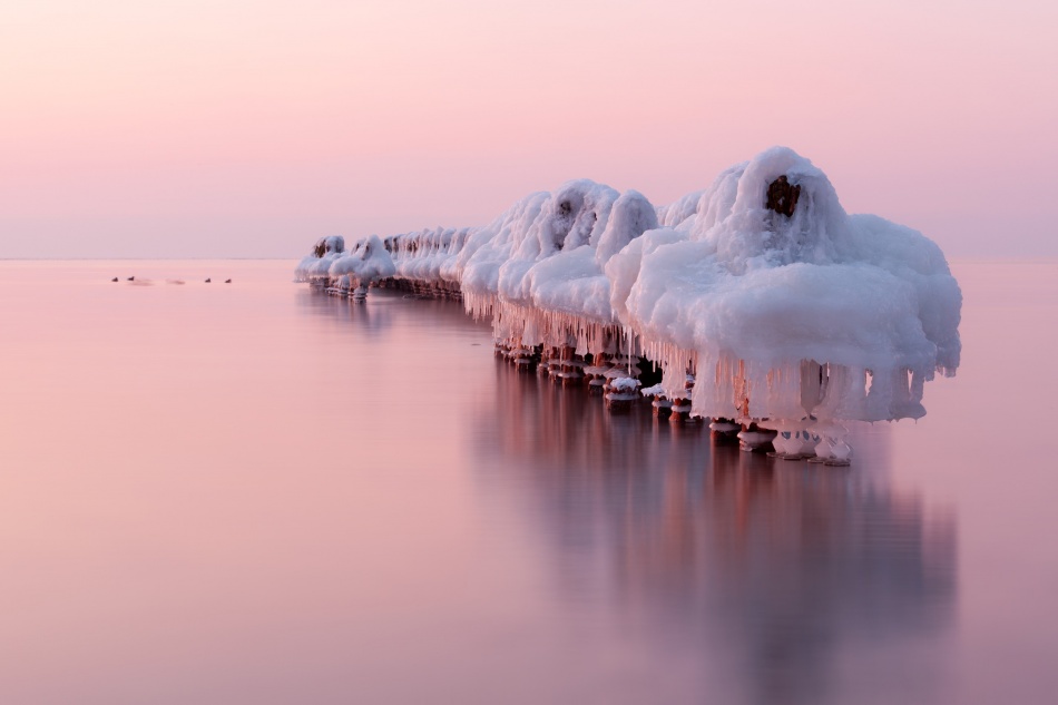 Dance of white swans von Dmitry Kulagin