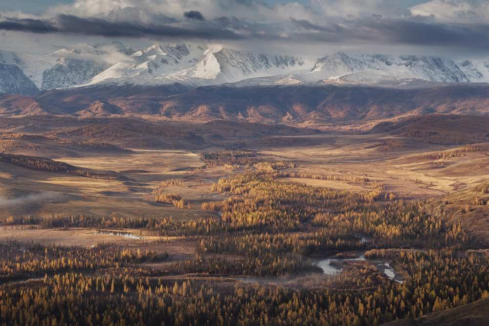 Autumn Altai mountains von Dmitry Kupratsevich