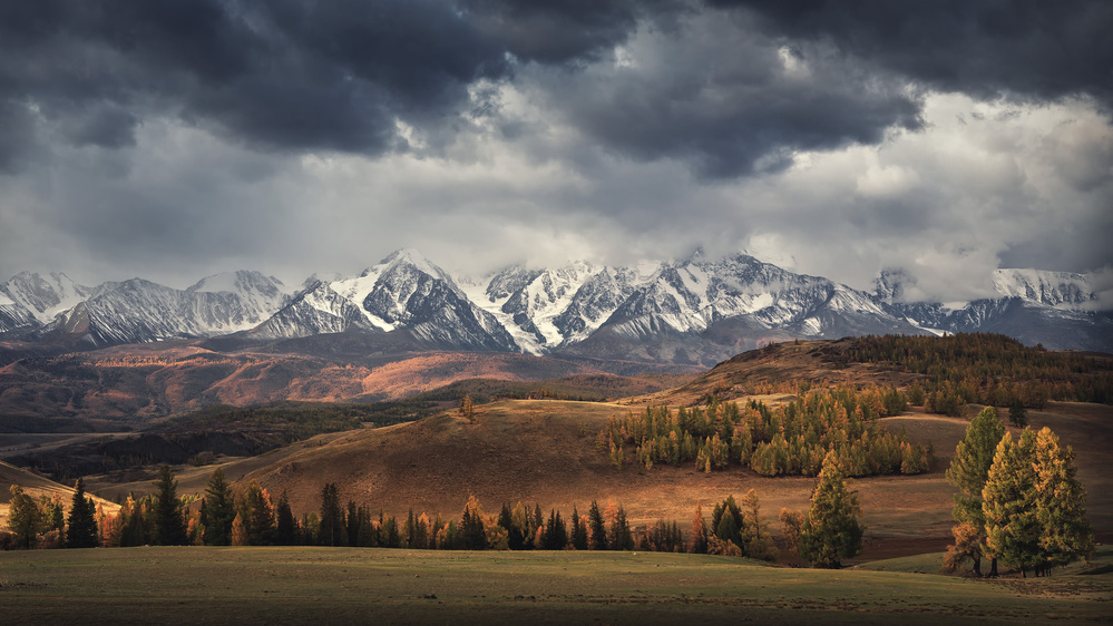 Autumn mood von Dmitry Kupratsevich