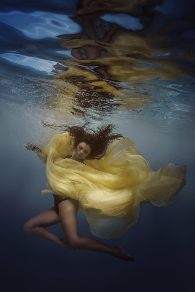 Underwater Lily von Dmitry Laudin