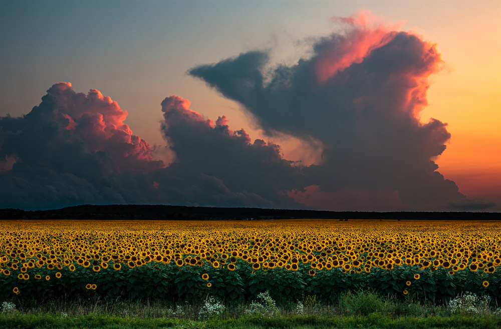 Before Sunset von Dmitry Nesvetaylov