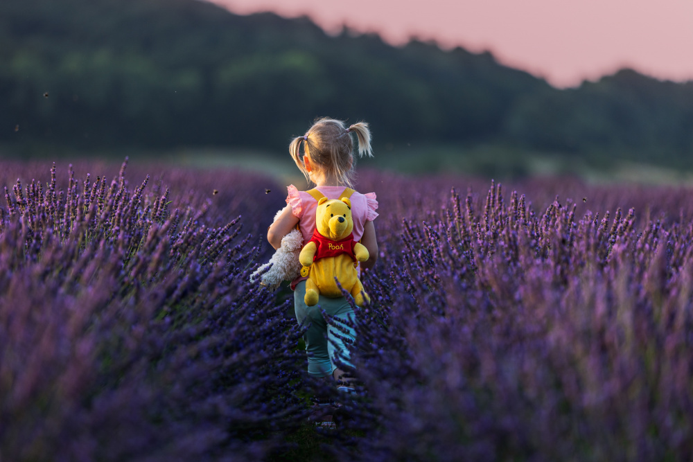 Winnie the Pooh journey in the lavender sea von Dmitry Stepanov