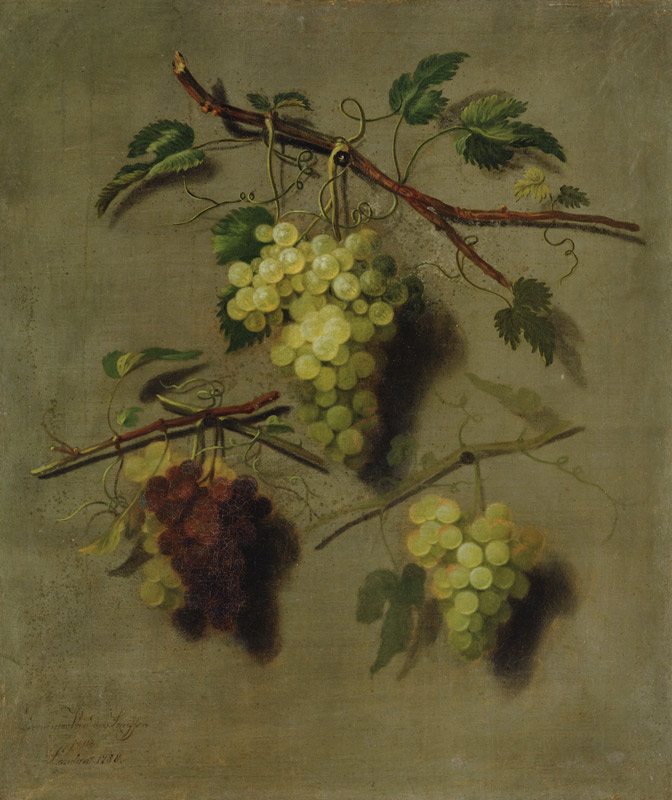 Still Life von Dominicus Van der Smissen