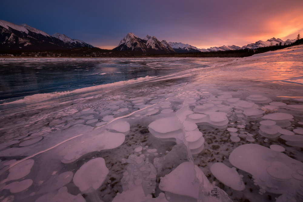 frozen bubbles von Donald Luo