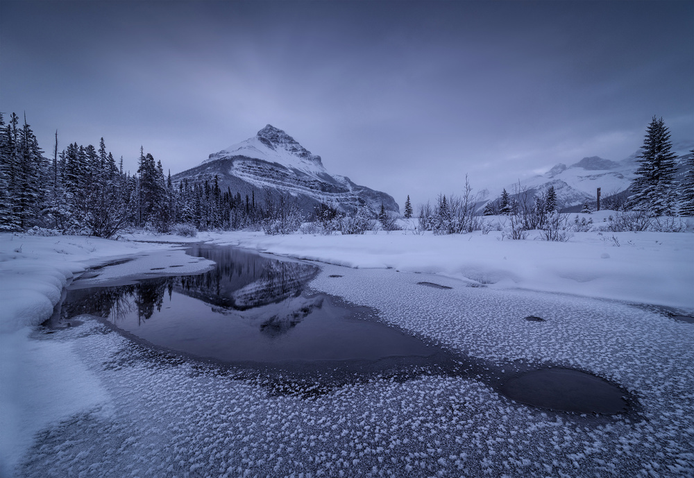 winter paradise von Donald Luo