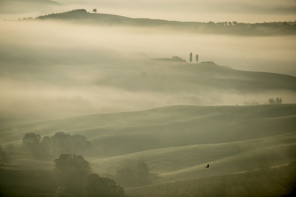 Brume von Donato Bellomo