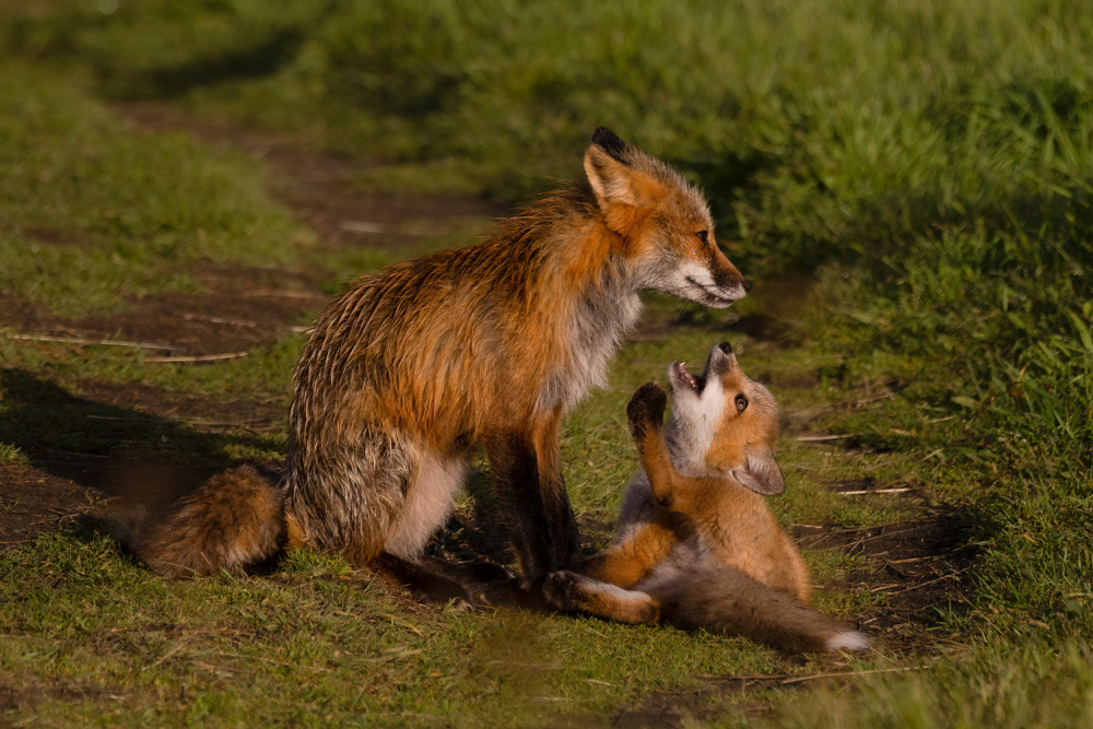 Mom Listen to Me von DonnaHom