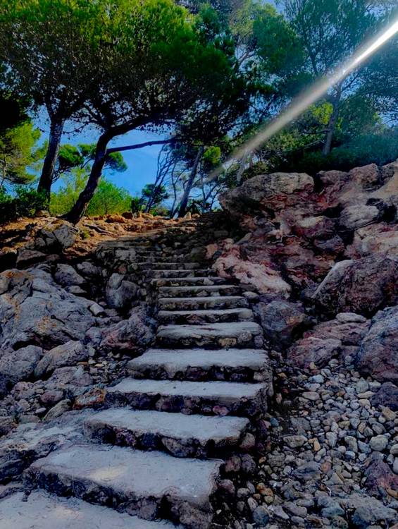 Treppe aus Stein am Strand unter Pinien von Doris Beckmann