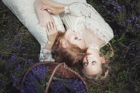 Lavender field