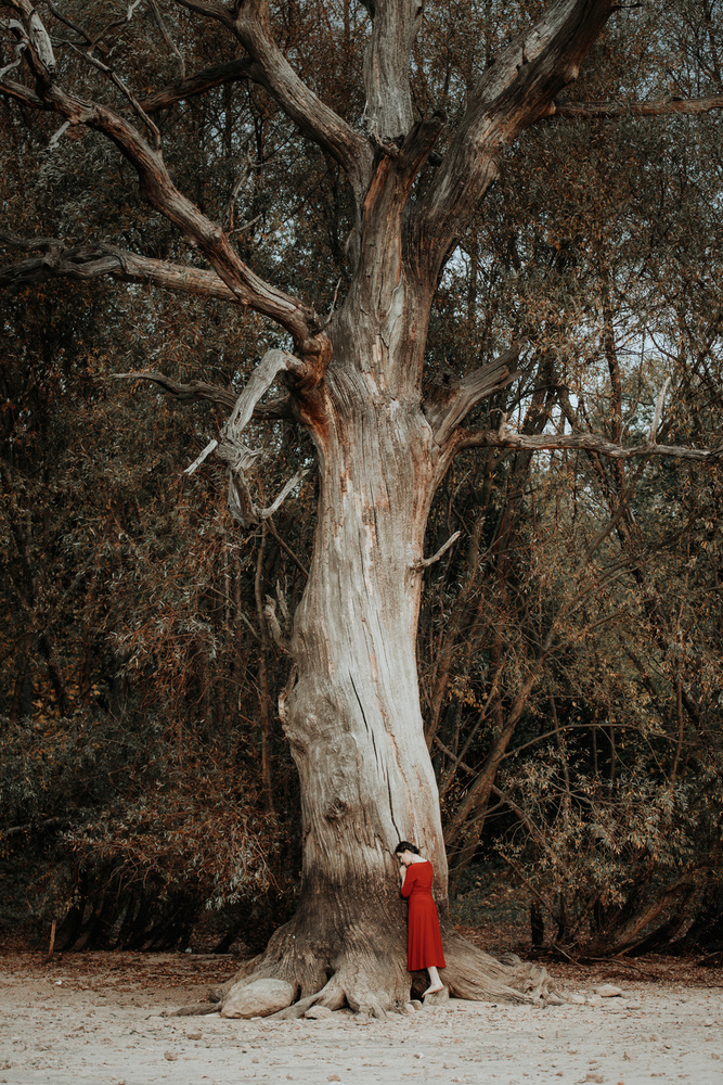 girl in a red dress von Dorota Górecka