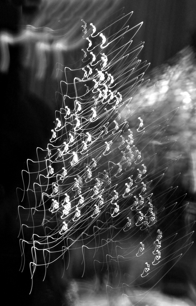 light tree von Dorothee Lieb