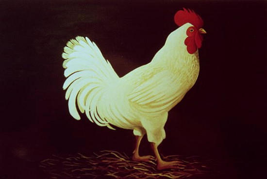 Rooster (acrylic on panel)  von Dory  Coffee