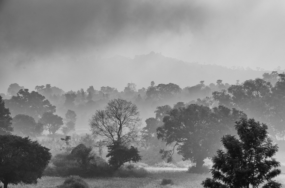 Araku Winter von dr ashok kolluru