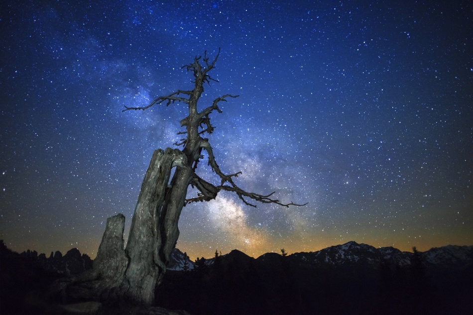 Milky Way von Dr. Nicholas Roemmelt