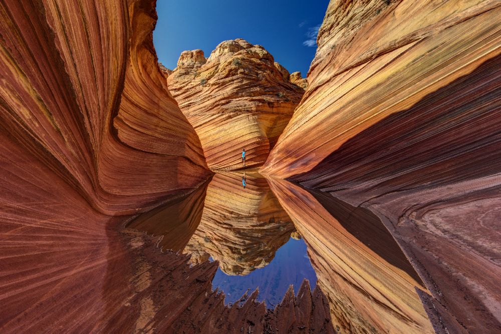 Mirrow Wave von Dr. Nicholas Roemmelt